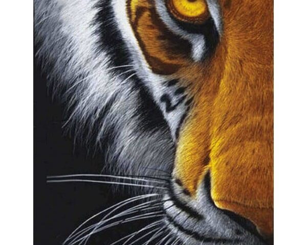 diamond painting tiger